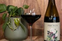 Gota Prunus Private Selection : un vin rouge portugais à découvrir
